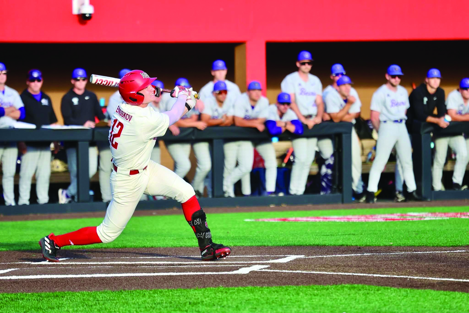 Bark at the Park Returns